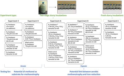 Aerobic methanotrophy increases the net iron reduction in methanogenic lake sediments
